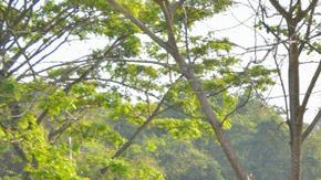 shutterstock_1057964093