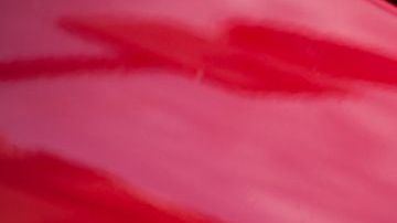 shutterstock_1065316061