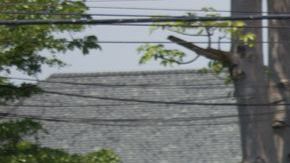 shutterstock_1076986526