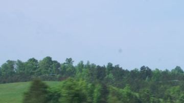 shutterstock_1103310158