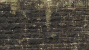 shutterstock_1117058711