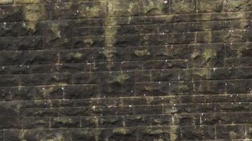 shutterstock_1117058711