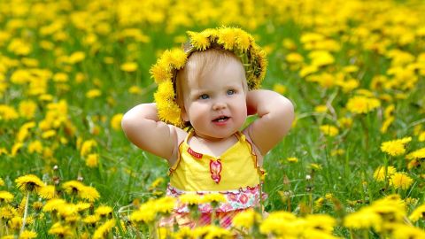 Muchas flores sirven de inspiración para nombres.