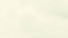 shutterstock_1142957948