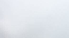 shutterstock_1160025634