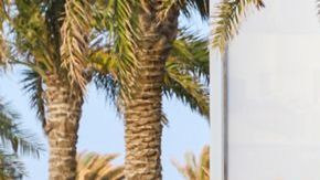 shutterstock_1254000283