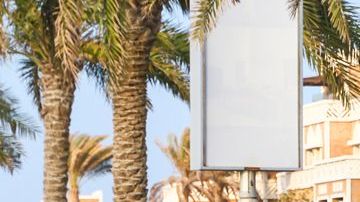 shutterstock_1254000283