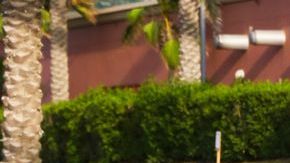 shutterstock_1262667256