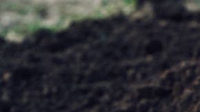 La mujer quedó horrorizada con lo que vio.