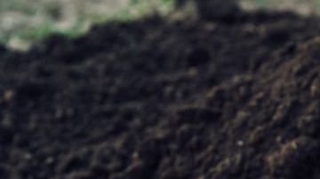 La mujer quedó horrorizada con lo que vio.