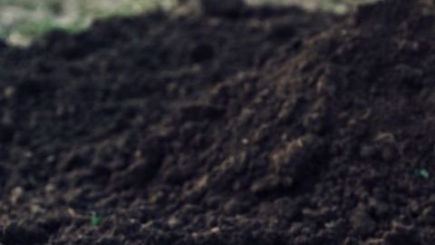 La mujer quedó horrorizada con lo que vio.