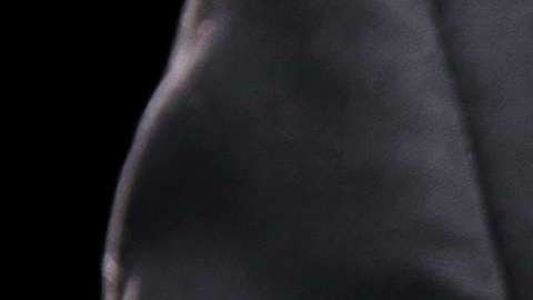 Es un crimen horrible, dice McFarlane a la BBC