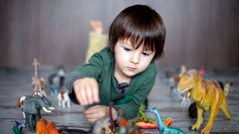 Estos niños desarrollan algo llamado "intereses intensos".