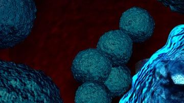 Se calcula que para 2050 las superbacterias matarán a 10 millones de personas.