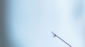 Quienes lo han probado aseguran que no es doloroso.