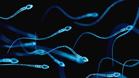 semen