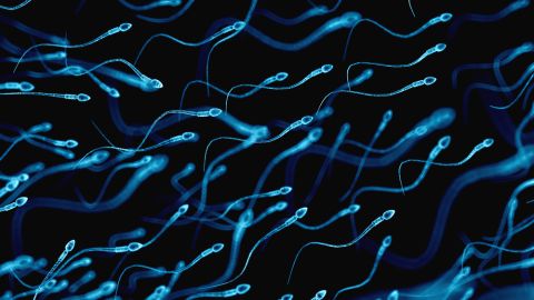 semen