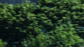 shutterstock_447631357