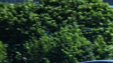 shutterstock_447631357