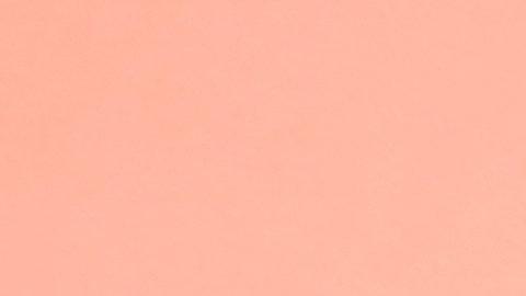 shutterstock_455223889