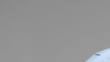 shutterstock_609290402