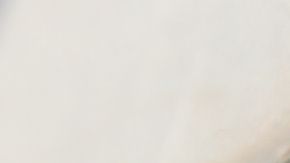 La mujer fue mordida por una araña reclusa parda, altamente peligrosas.