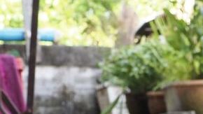 shutterstock_631227854