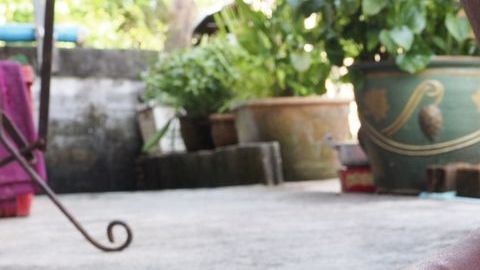 shutterstock_631227854