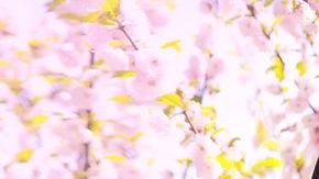 Las ondas suaves y los accesorios para el cabello son dos de las tendencias de la primavera.