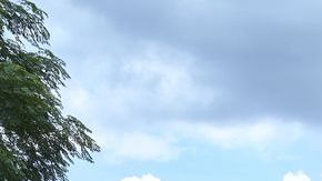 shutterstock_644519578