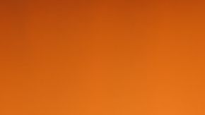 shutterstock_736410727