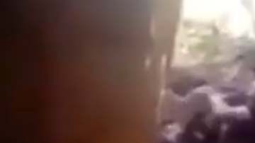 El enfrentamiento ocurrió en la sierra de Guerrero.