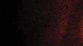 La serie original de Netflix "Stranger Things" regresa a Universal Studios Hollywood y a Universal Orlando Resort con los nuevos laberintos de "Halloween Horror Nights" este otoño 2019