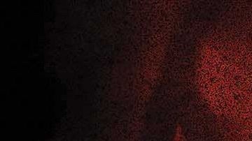 La serie original de Netflix "Stranger Things" regresa a Universal Studios Hollywood y a Universal Orlando Resort con los nuevos laberintos de "Halloween Horror Nights" este otoño 2019