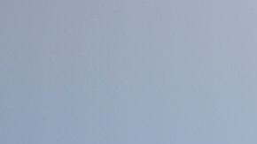 Estas espectaculares floraciones, que aparecen de media una vez cada década, han ocurrido en 2005, en 2012 aunque esa fue menor, y en 2017, la cual fue la más grande en 20 años.