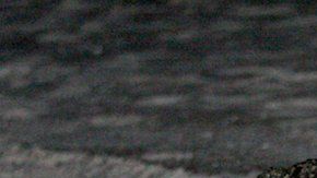 Tortugas en costas mexicanas.