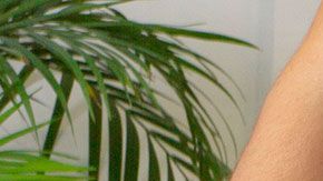 Estos empleos tienen la peculiaridad de que no te someten a mucha presión o estrés.