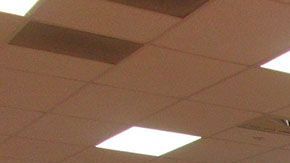 Hay muchas formas de hacer que tu dinero dure más en este lugar.