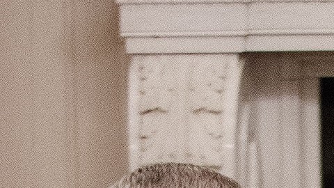 El momento chusco ocurrió en la Casa Blanca.