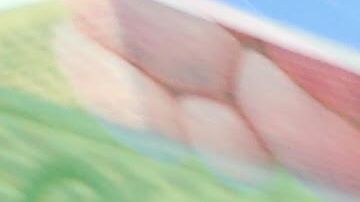 Patricia García, residente de Queens.