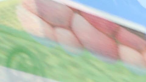 Patricia García, residente de Queens.