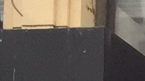 El Concejo analiza hacer seguimiento de los locales sin actividad./ Mariela Lombard