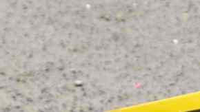 White, en una imagen de archivo.