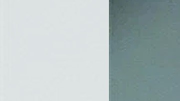 Wilber Ernesto Martínez-Guzmán es de origen salvadoreño.