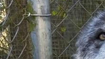 Yuki junto a Brittany Allen.