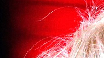 Yuri y Yalitza Aparicio