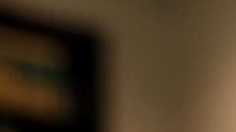 Los grilletes son colocados por ICE.