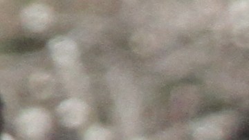 Prohibición de bolsas plásticas y aranceles de 5 centavos para las bolsas de papel, en efecto para el próximo 1ro. de marzo del 2020.