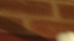 Taller Latinoamericano festeja sus 40 años con una propuesta de edificio ecologico en El Barrio. Director Bernardo Palombo enseñando en el taller.