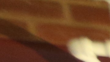 Taller Latinoamericano festeja sus 40 años con una propuesta de edificio ecologico en El Barrio. Director Bernardo Palombo enseñando en el taller.